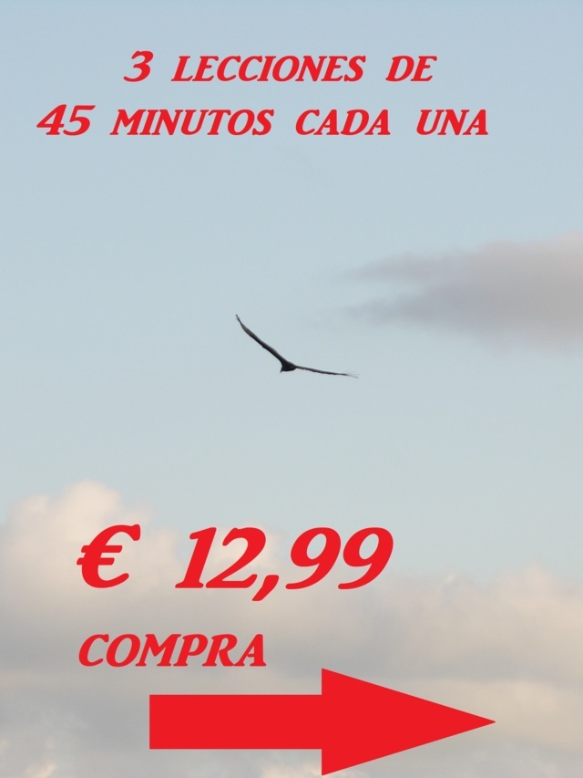 Poder de la Intención 2